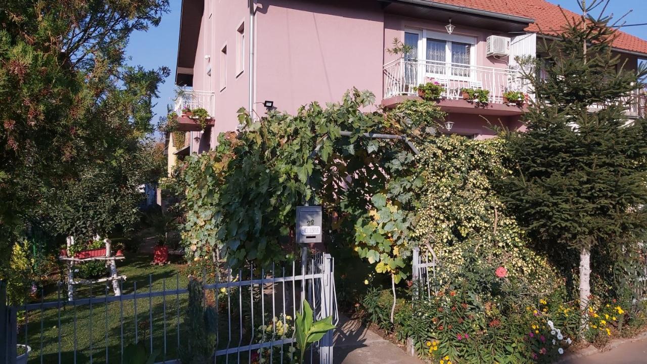 Exclusive Lägenhet Paraćin Exteriör bild